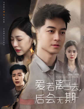 爱若离去，后会无期封面图