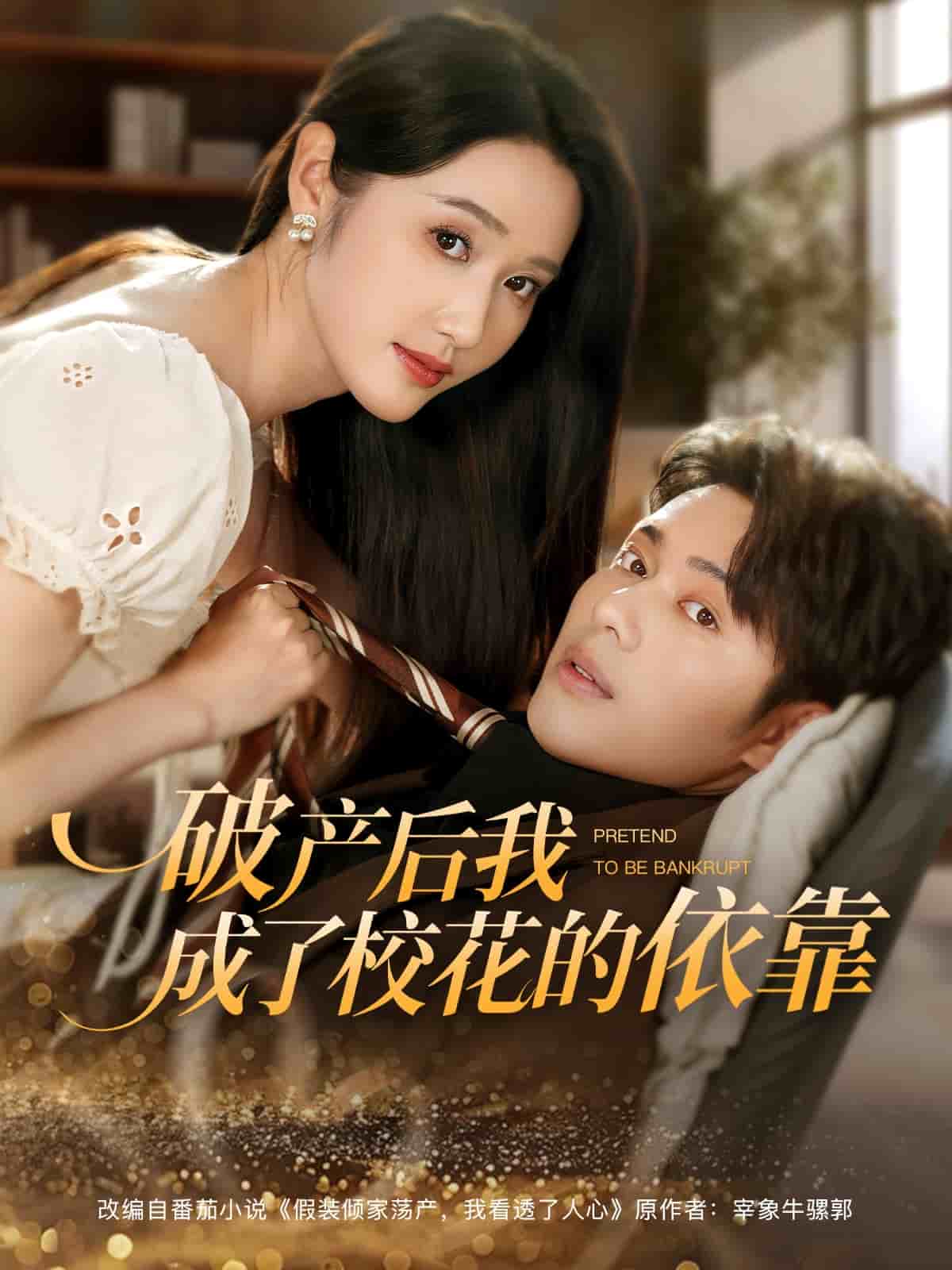 破产后我成了校花的依靠封面图