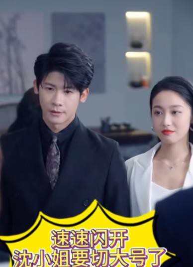 速速闪开，沈小姐要切大号了封面图