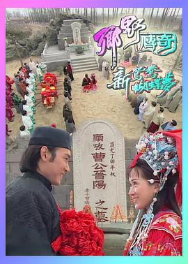 乡野传奇之新鸳鸯蝴蝶梦封面图