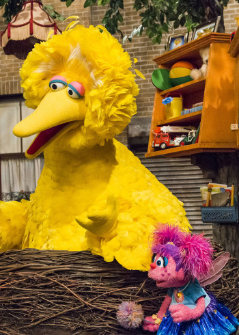 芝麻街30分钟国际版第49季[普通话版]封面图