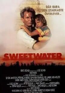 虽苦尤甜封面图