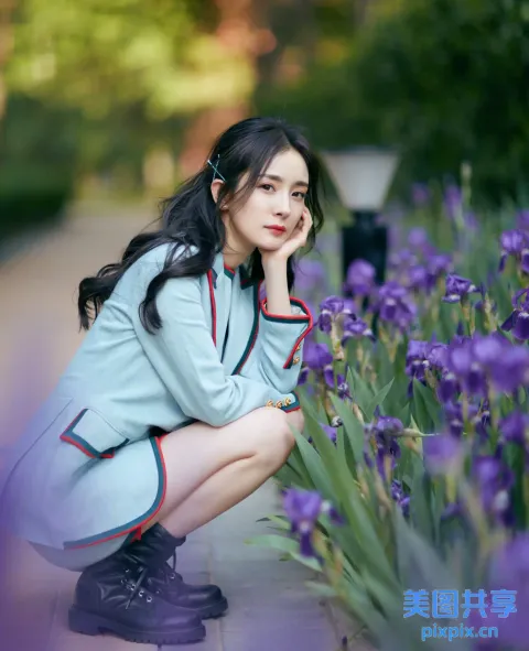 有个女人跪在一片紫色的花田里