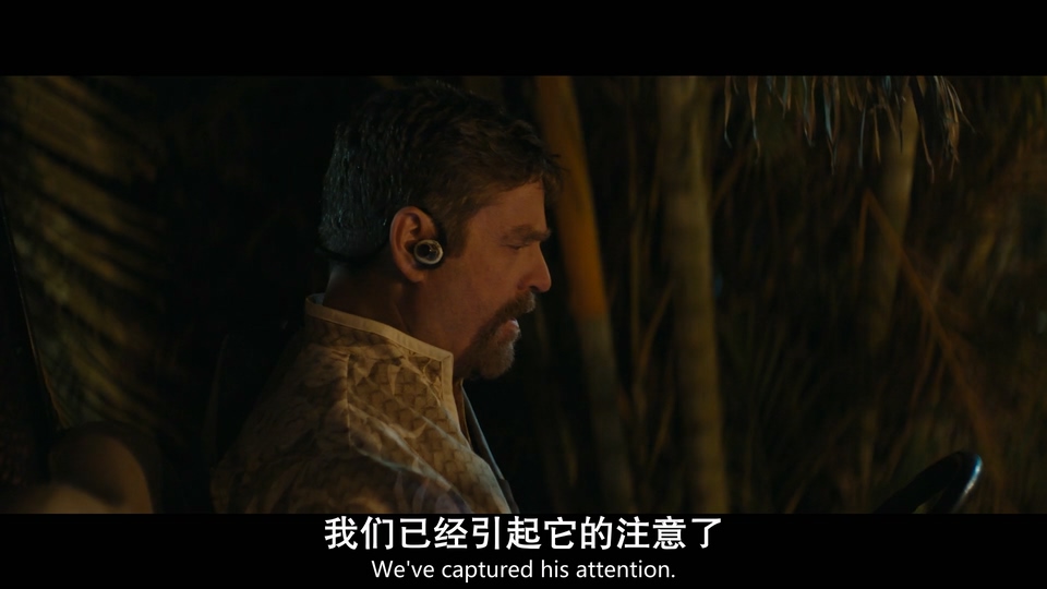 2025奇幻动作《星际宝贝史迪奇》BD1080P.英语中英双字截图