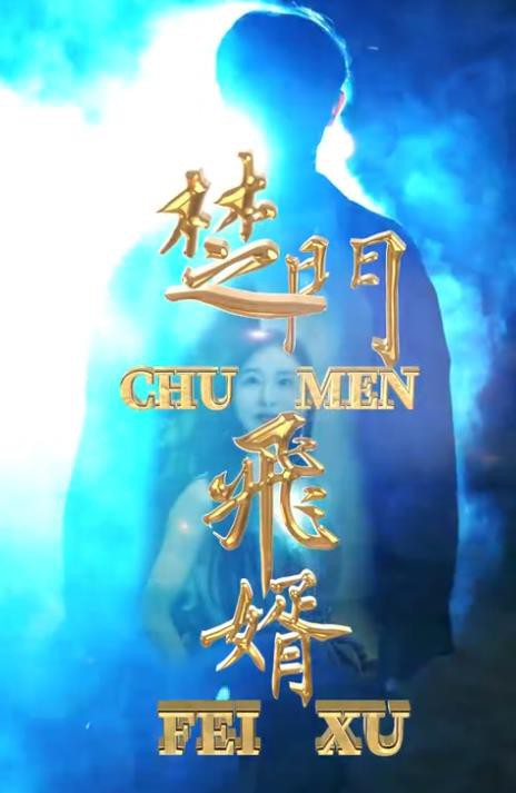 楚门飞婿封面图