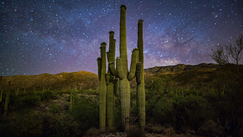 繁星点点的夜空，背景是仙人掌和山脉