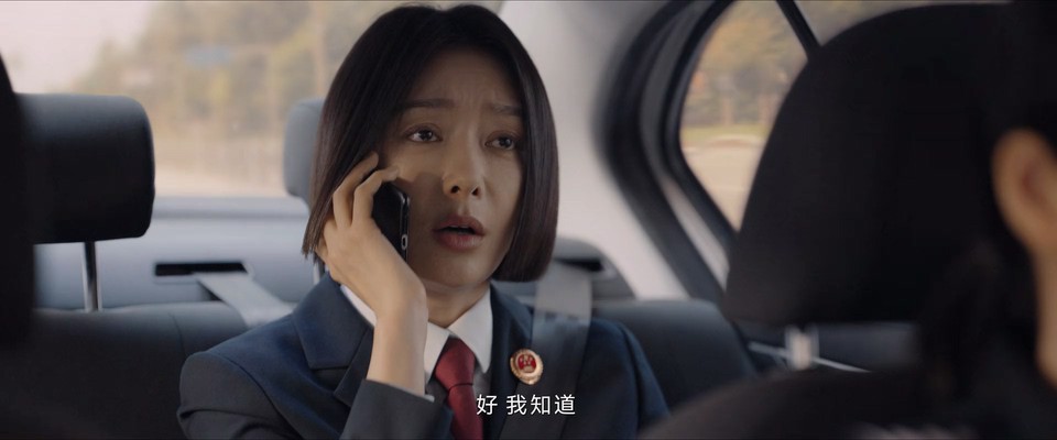 2024国剧《九部的检察官》18集全.HD1080P.国语中字截图
