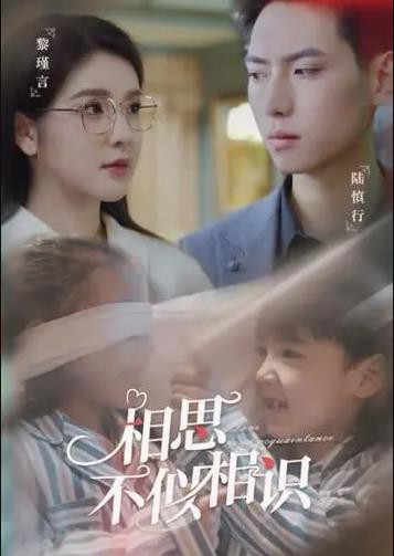 相思不似相识封面图