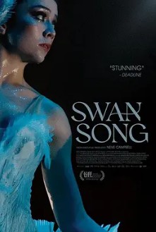 重回天鹅湖封面图