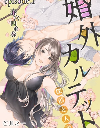 婚外四重奏—侦探与人妻—