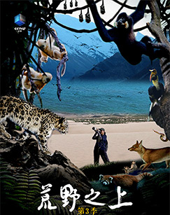 荒野之上（第三季）封面图