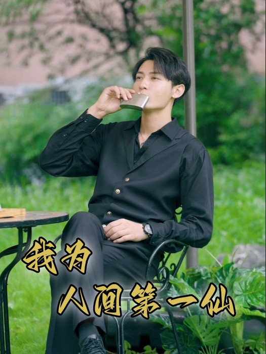 我为人间一仙封面图