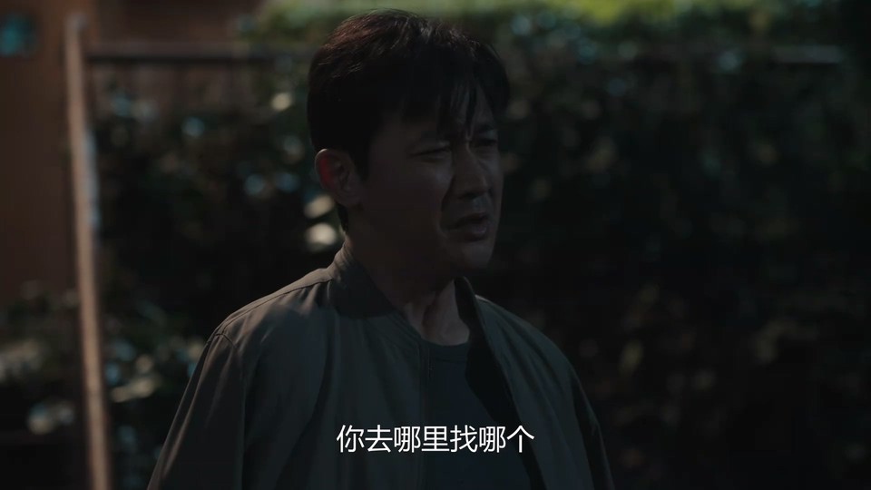 2024国剧《山花烂漫时》更至23集.HD1080P.国语中字截图