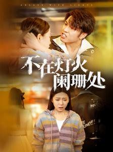 不在灯火阑珊处封面图