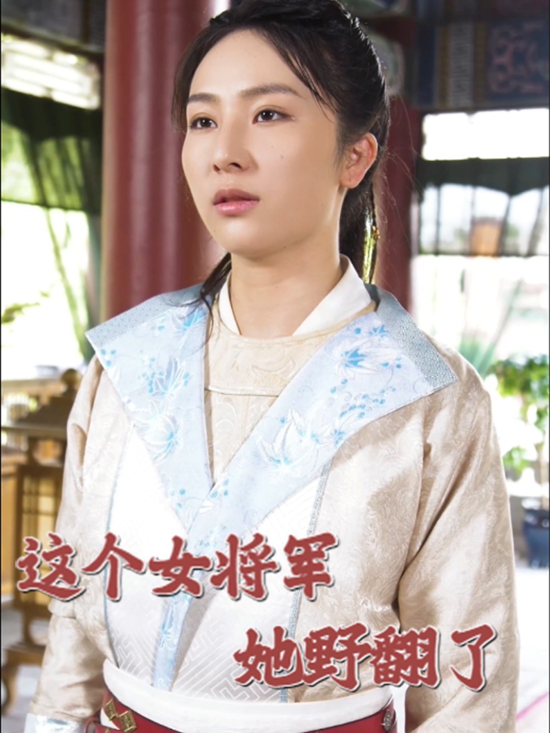 这个女将军她野翻了封面图