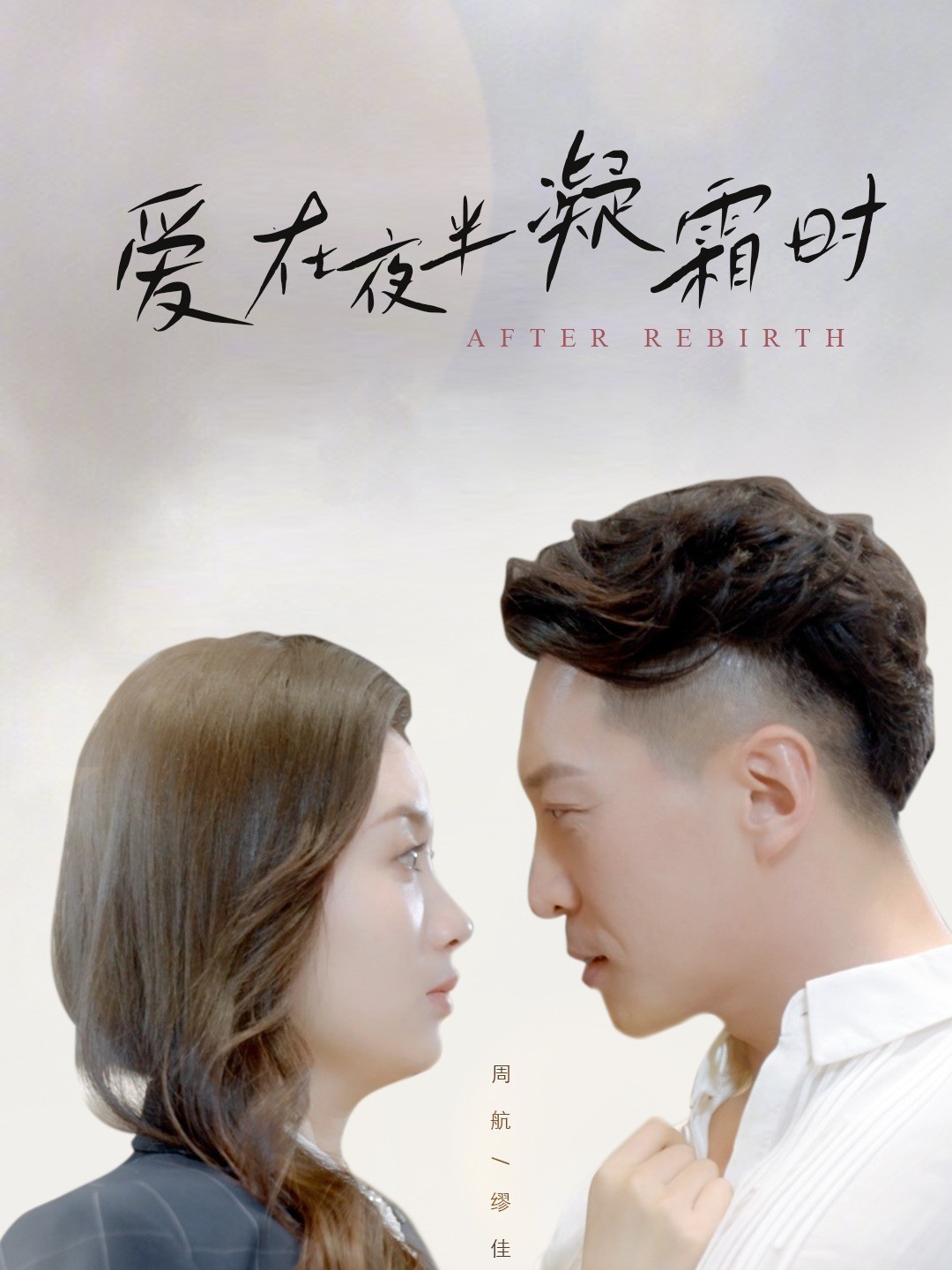 爱在夜半凝霜时封面图