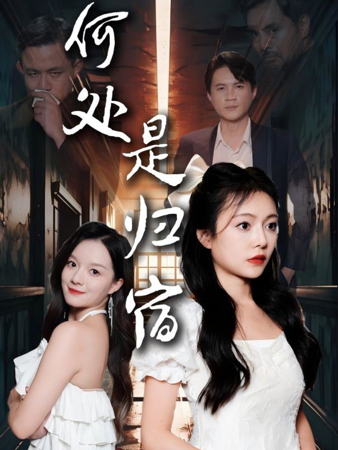 何处是归宿封面图