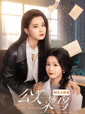 公关菜鸟封面图