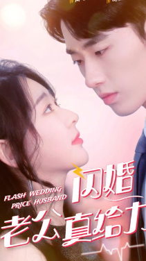 闪婚老公真给力封面图