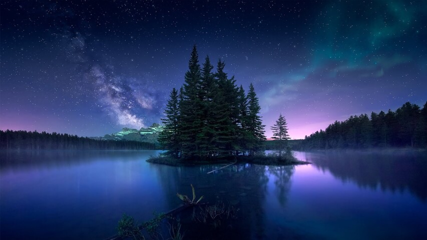 星星和湖林上空的夜空