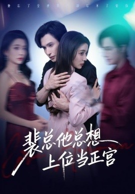 裴总他总上位当正宫封面图