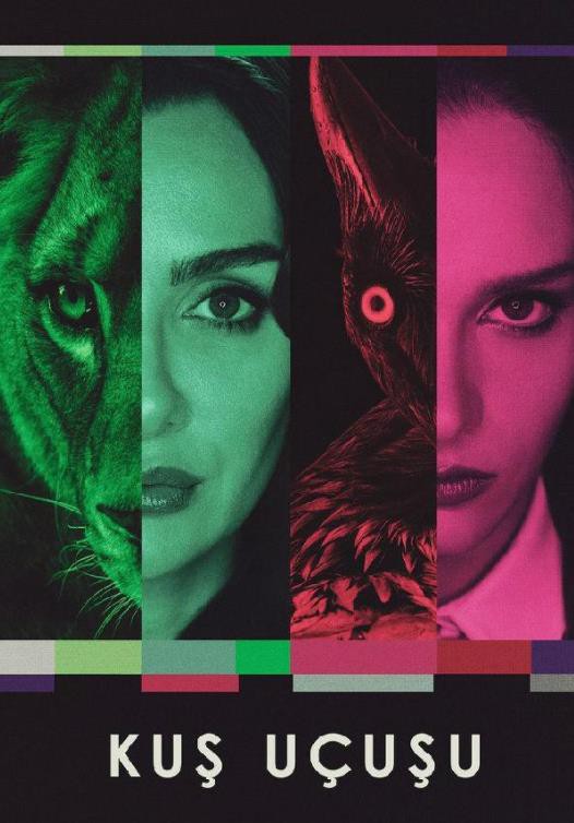 直线篡位第三季封面图