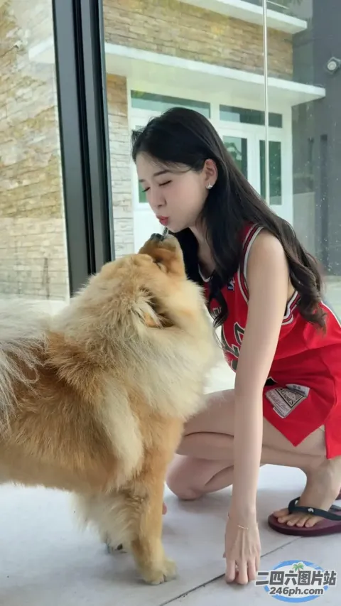 穿红裙的 Araffes 女孩在外面抚摸一只狗