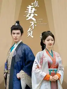 唯妻不负封面图