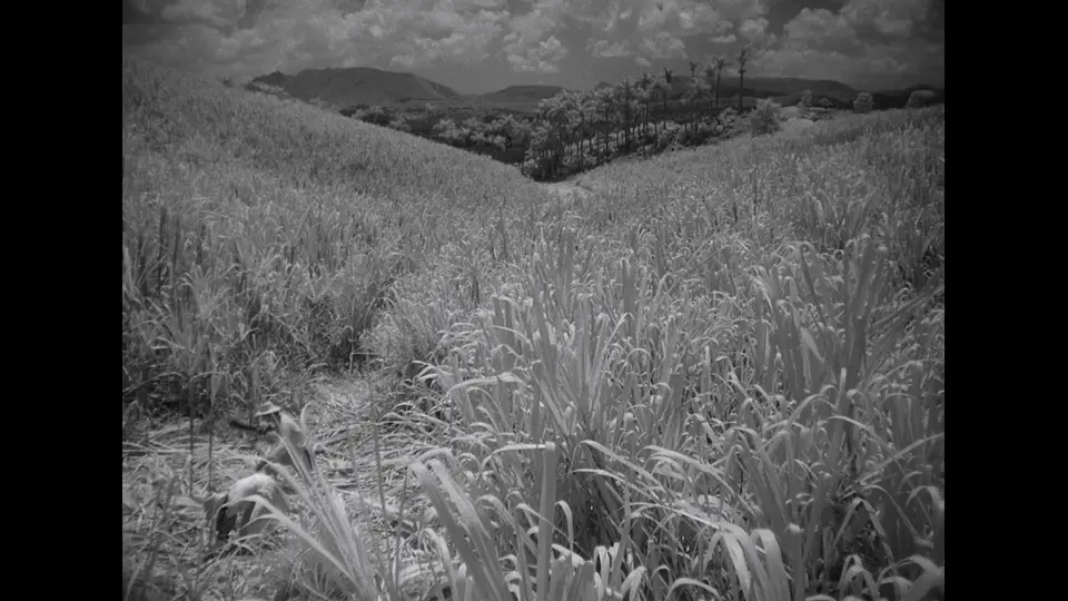 1964苏联剧情《我是古巴》BD1080P.西班牙语中字截图