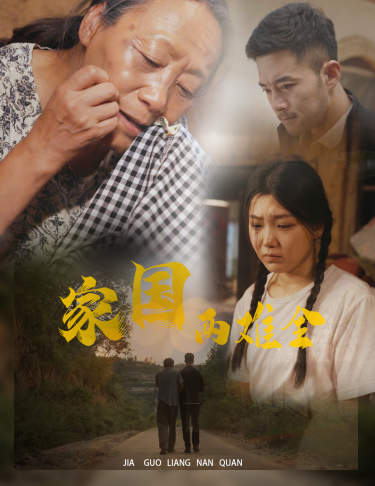 家国两难全封面图