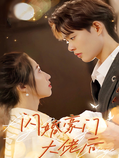 闪婚豪门大佬后封面图