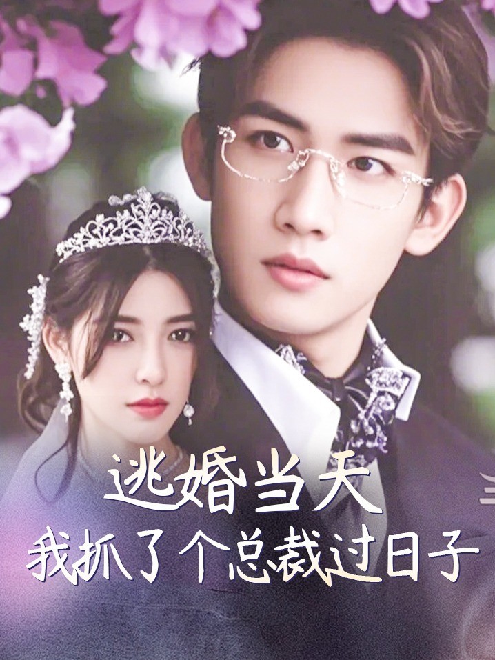 逃婚当天我抓了个总裁过日子封面图
