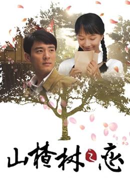 山楂树之恋封面图