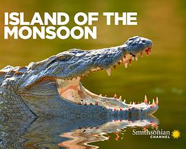 季风群岛封面图