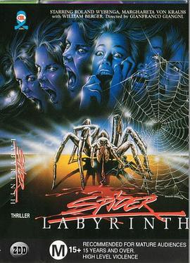 蜘蛛迷宫封面图