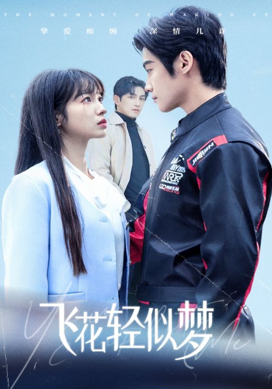 飞花轻似梦封面图