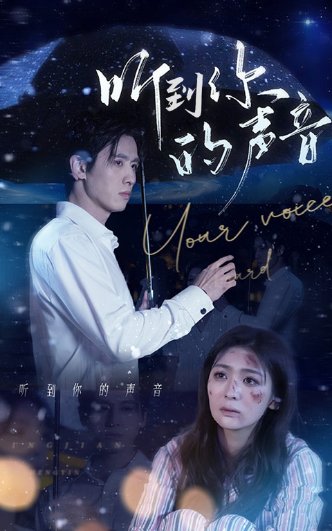听到你的声音封面图