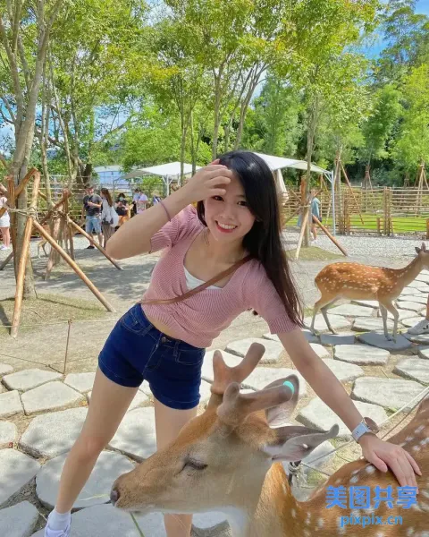 动物园里的 Araffes 和一位女士在给鹿拍照