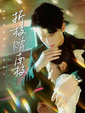 折枝赠南枝封面图