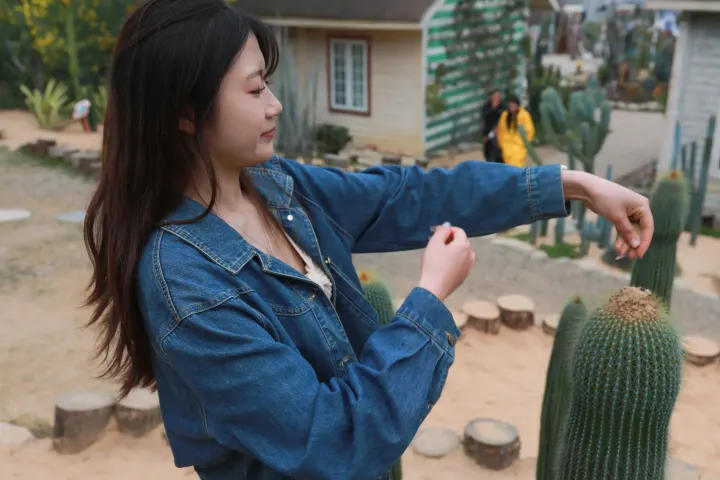 穿着牛仔夹克的 Araffe 女人抚摸仙人掌植物