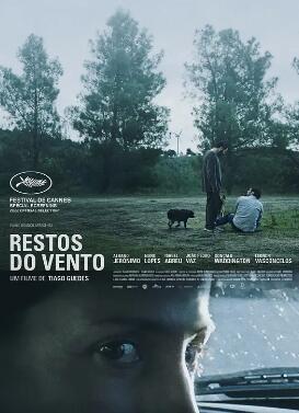 风的残迹封面图