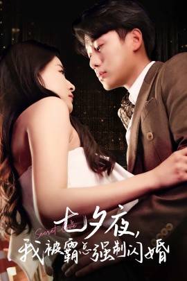 七夕夜，我被霸总强制闪婚封面图