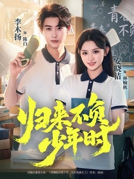 归来不负少年时封面图