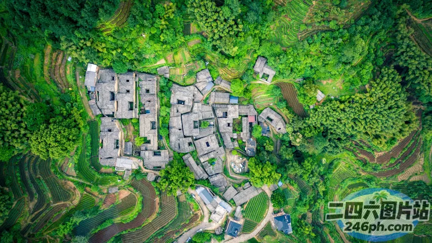 郁郁葱葱的绿色山谷中的村庄鸟瞰图