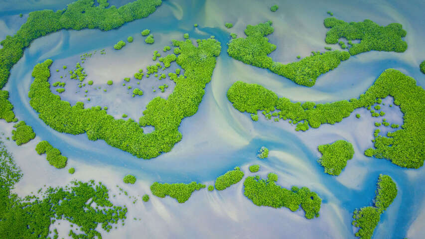 拥有绿色植被的河流的 Arafed 鸟瞰图