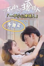 一不小心撩错人封面图