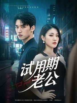 试用期老公封面图