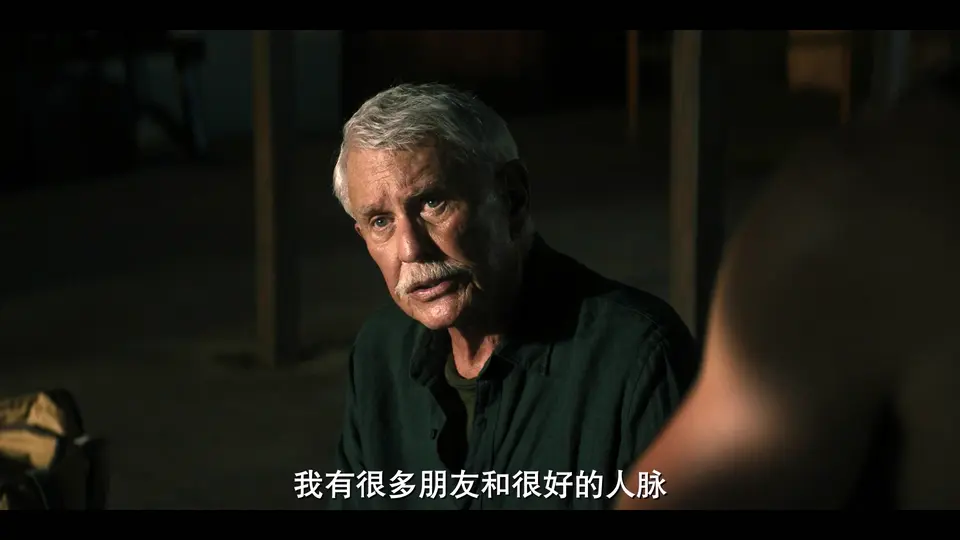 2026美国动作《狙击精英∶孤魂野鬼》HD1080P.英语中字截图