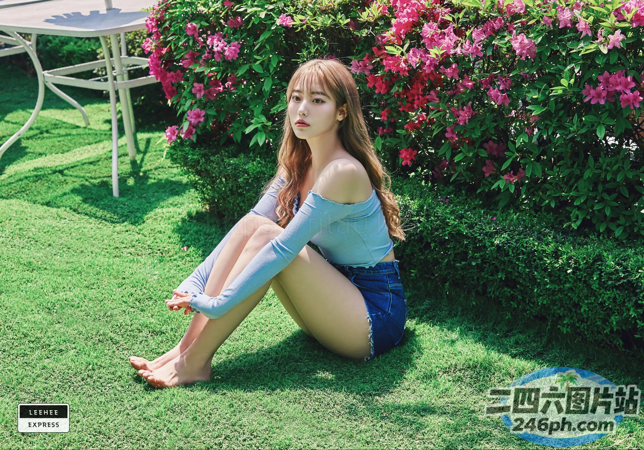 Araffe 坐在开满鲜花的灌木丛前的草地上