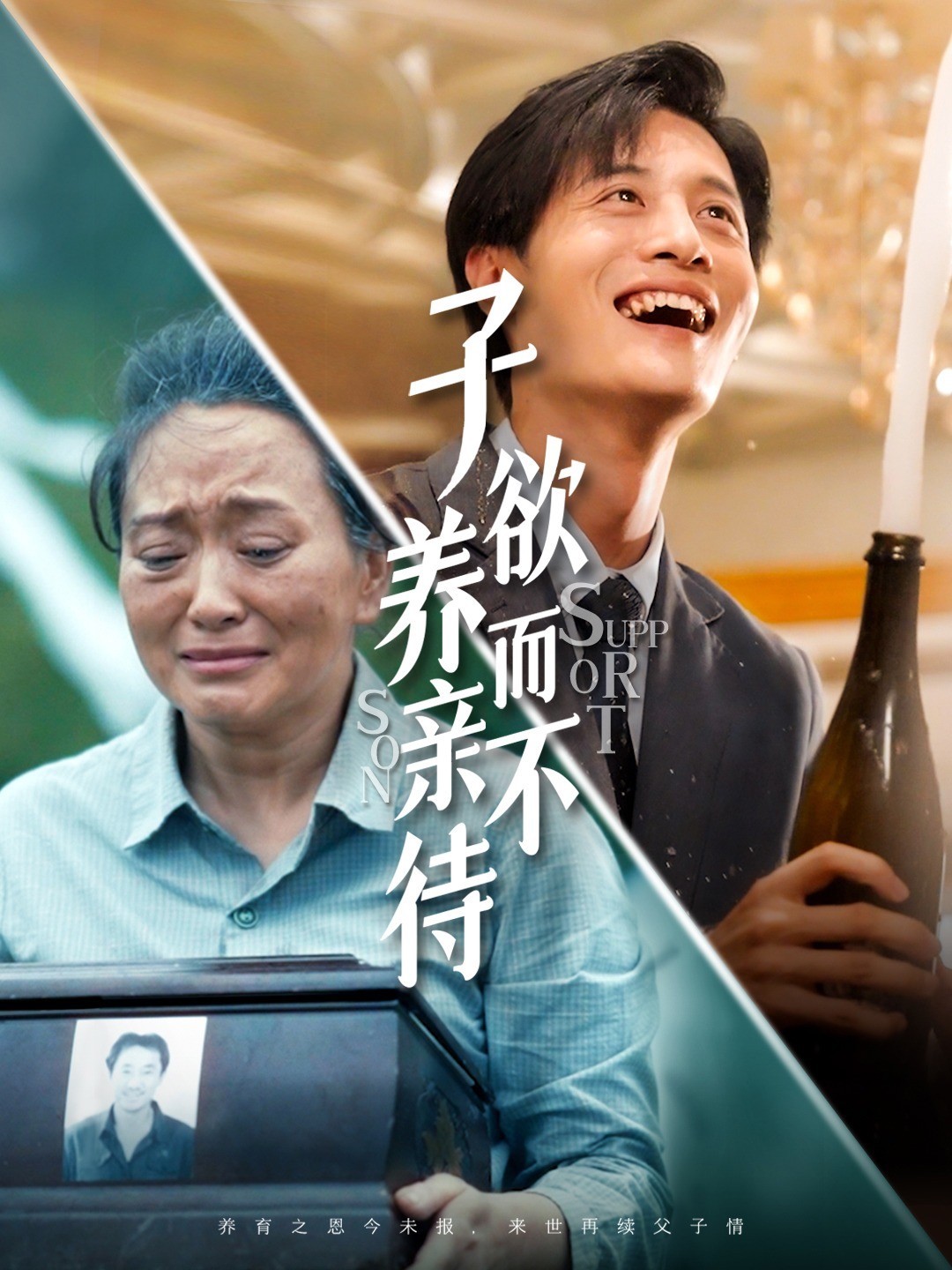 子欲养而亲不待封面图